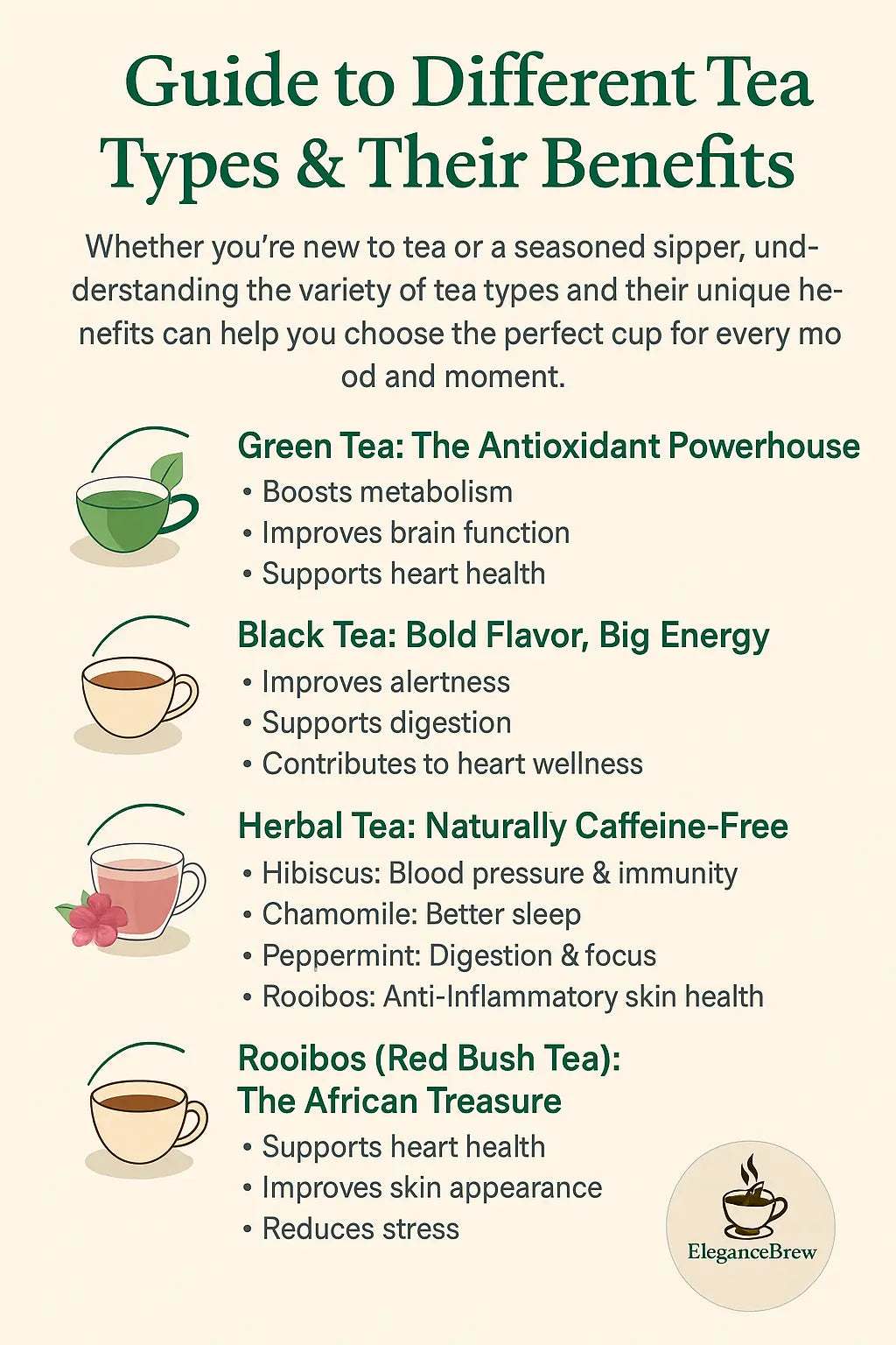 Guide to Different Tea Types & Their Benefits