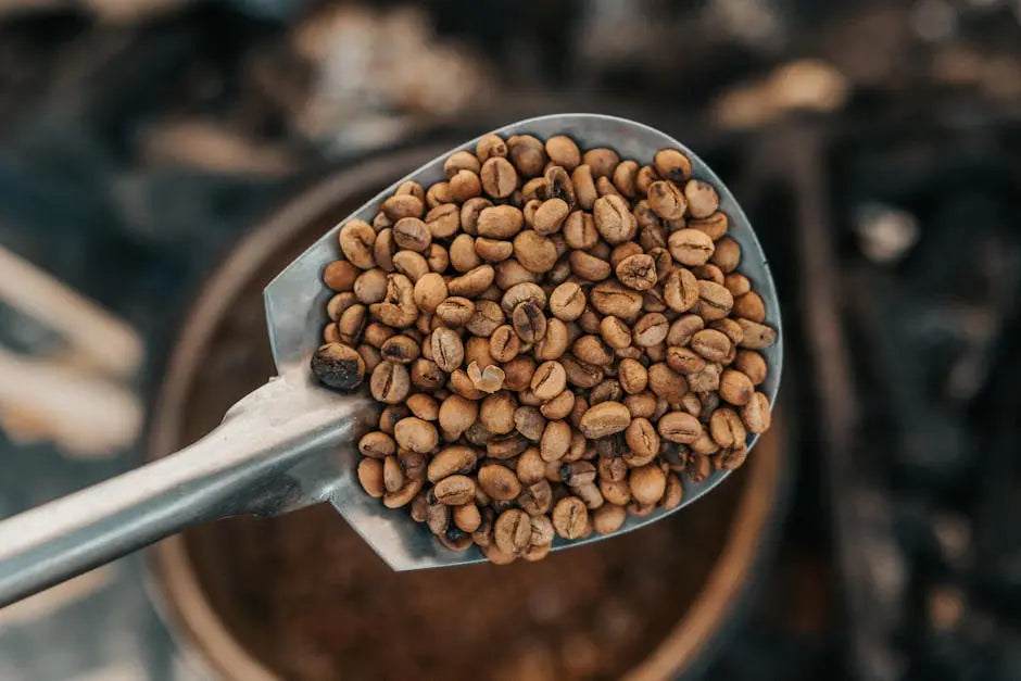 premium vanilla coffee beans for sale