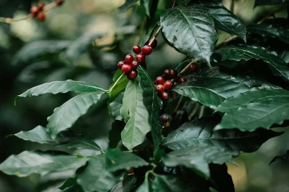 Best Brewing Methods for Flavored Coffee: Unlock Perfect Taste Every Time