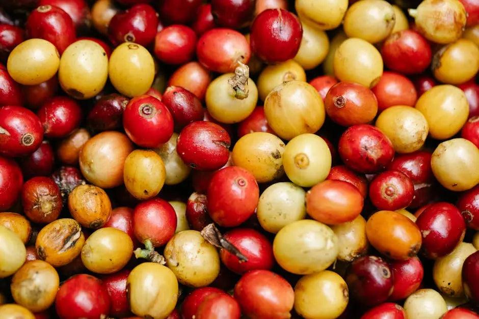 12 Unique Coffee Flavor Combinations That Will Transform Your Morning Brew