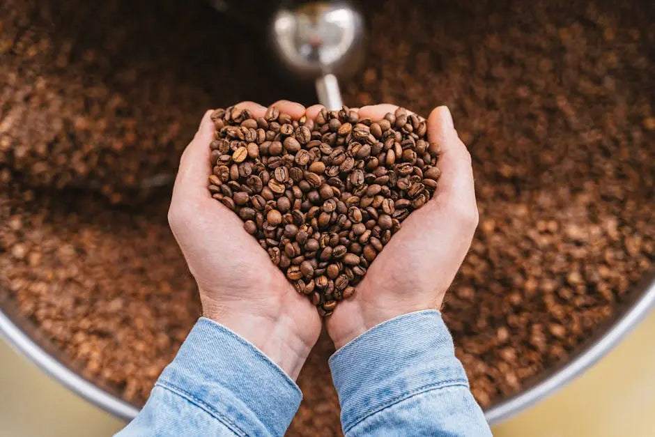 Where to Buy Gourmet Flavored Coffee: Your Complete Shopping Guide for Premium Blends