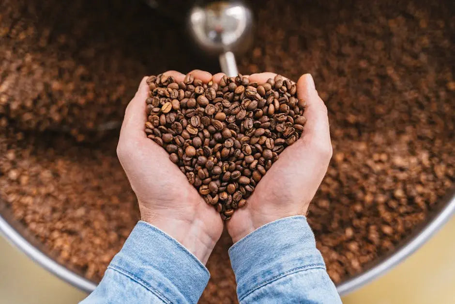 Where to Buy Gourmet Flavored Coffee: Your Complete Shopping Guide for Premium Blends